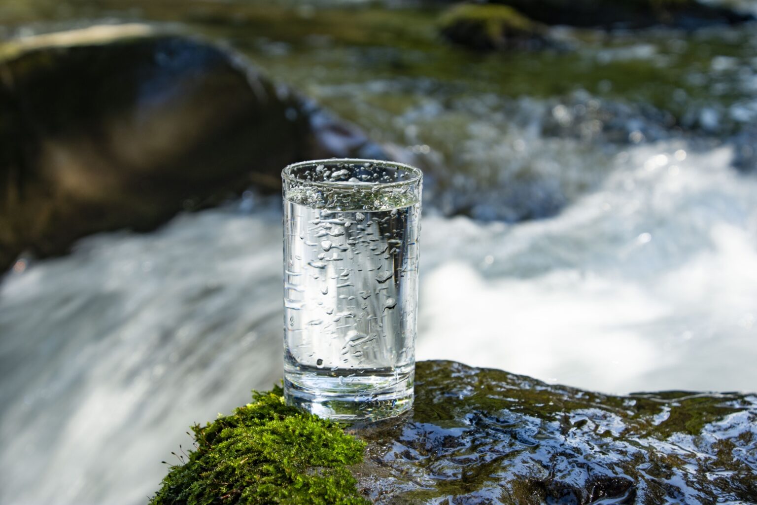 「水」に価値がついた日 おいしい水から機能をもつ水へ